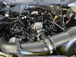 2025 Ford F-150 SuperCrew Cab RWD Pickup for sale #SKF60513 - photo 19