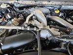 New 2026 Ford F-350 XL Crew Cab for sale #TED29288 - photo 19