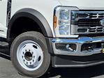 2024 Ford F-450 Regular Cab DRW 4x2, Landscape Dump for sale #F28890 - photo 4