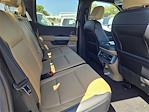 2025 Ford F-350 Crew Cab DRW 4x4 Pickup for sale #F30202 - photo 14