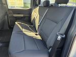2025 Ford F-150 SuperCrew Cab 4x4 Pickup for sale #F30245 - photo 13