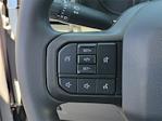 2025 Ford F-250 Regular Cab 4x2 Service Truck for sale #F30494 - photo 10