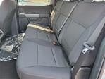 New 2025 Ford F-150 XLT SuperCrew Cab 4x4 Pickup for sale #F30661 - photo 6