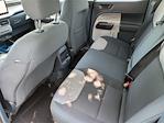 2025 Ford Maverick SuperCrew Cab FWD Pickup for sale #F30722 - photo 6