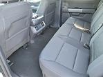 New 2025 Ford F-150 XLT SuperCrew Cab 4x4 Pickup for sale #F30824 - photo 6