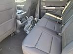 New 2025 Ford F-150 XLT SuperCrew Cab 4x4 Pickup for sale #F30855 - photo 6