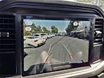 2025 Ford F-150 Regular Cab 4x2 Pickup for sale #F31034 - photo 10