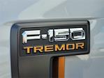 2025 Ford F-150 SuperCrew Cab 4WD Pickup for sale #F31179 - photo 24