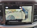 New 2025 Ford F-150 XLT SuperCrew Cab for sale #F31191 - photo 25