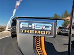 2025 Ford F-150 SuperCrew Cab 4WD Pickup for sale #F31256 - photo 24