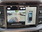 New 2025 Ford F-150 XLT SuperCrew Cab 4WD Pickup for sale #F31262 - photo 25