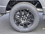 2025 Ford F-150 SuperCrew Cab 4WD Pickup for sale #F31420 - photo 9