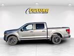 2025 Ford F-150 SuperCrew Cab RWD Pickup for sale #F31501 - photo 7