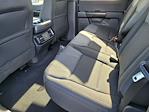 New 2026 Ford F-150 STX SuperCrew Cab for sale #F31736 - photo 16