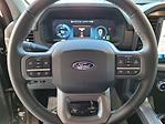 2025 Ford F-150 Lightning SuperCrew Cab AWD Pickup for sale #C68848 - photo 16
