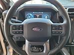 2025 Ford F-150 Lightning SuperCrew Cab AWD Pickup for sale #C68876 - photo 15