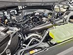 2025 Ford F-150 Regular Cab 4x4 Pickup for sale #C69050 - photo 19