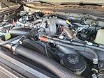 2026 Ford F-350 Crew Cab SRW 4x4 Pickup for sale #C69073 - photo 19