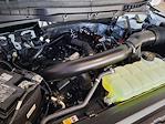 2025 Ford F-150 SuperCrew Cab 4x4 Pickup for sale #C69137 - photo 20
