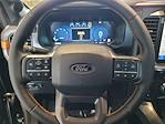 2025 Ford F-150 SuperCrew Cab 4x4 Pickup for sale #C69153 - photo 17