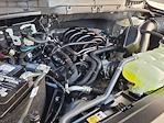 New 2026 Ford F-150 STX SuperCrew Cab for sale #C69162 - photo 20