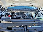 2024 Ford F-550 Regular Cab DRW 4x2 Enoven Landscape Dump for sale #F361597 - photo 41