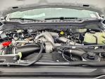 New 2024 Ford F-600 XLT Regular Cab 4WD Cab Chassis for sale #F361853 - photo 35