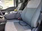 New 2024 Ford F-600 Regular Cab 4WD 11' 7" Rugby Steel Dump Truck for sale #F361925 - photo 21