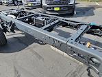 New 2024 Ford F-600 XL Regular Cab 4x4 Cab Chassis for sale #F361981 - photo 13