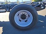 New 2024 Ford F-600 XL Regular Cab 4x4 Cab Chassis for sale #F361985 - photo 17