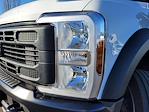 New 2024 Ford F-600 XL Regular Cab 4WD Cab Chassis for sale #F362000 - photo 12