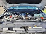 New 2025 Ford F-250 Platinum Crew Cab 4x4 Pickup for sale #F362156 - photo 22