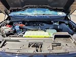 2025 Ford F-150 SuperCrew Cab 4x4 Pickup for sale #F362277 - photo 21