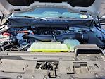 New 2025 Ford F-150 XLT SuperCrew Cab 4WD Pickup for sale #F362282 - photo 20