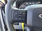 2025 Ford F-250 Regular Cab 4x2 Scelzi Service Truck for sale #F362420 - photo 39