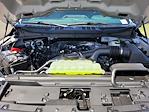 New 2025 Ford F-150 STX SuperCrew Cab Pickup for sale #F362461 - photo 22
