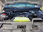 2025 Ford F-150 SuperCrew Cab 4x2 Pickup for sale #F362461 - photo 22