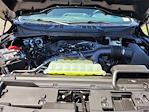 2025 Ford F-150 SuperCrew Cab 4x2 Pickup for sale #F362462 - photo 21