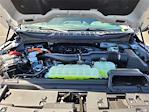 2025 Ford F-150 SuperCrew Cab 4x4 Pickup for sale #F362463 - photo 22