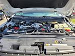 2025 Ford F-350 Crew Cab SRW 4x4 Pickup for sale #F362465R - photo 22