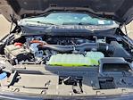 2025 Ford F-150 SuperCrew Cab 4x4 Pickup for sale #F362474 - photo 22