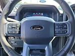 2025 Ford F-150 SuperCrew Cab 4x4 Pickup for sale #F362480 - photo 20