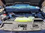 2025 Ford F-150 SuperCrew Cab 4x4 Pickup for sale #F362480 - photo 22