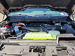 2025 Ford F-150 SuperCrew Cab 4WD Pickup for sale #F362490 - photo 21
