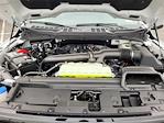 2025 Ford F-150 SuperCrew Cab 4x4 Pickup for sale #F362517 - photo 22