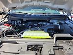 2025 Ford F-150 SuperCrew Cab 4x4 Pickup for sale #F362568 - photo 21