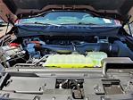 2025 Ford F-150 SuperCrew Cab 4x4 Pickup for sale #F362579 - photo 22