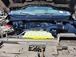 2025 Ford F-150 SuperCrew Cab 4x4 Pickup for sale #F362592 - photo 22