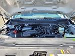 New 2025 Ford F-250 XLT Crew Cab 4x4 Pickup for sale #F362603 - photo 21