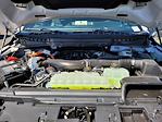 2025 Ford F-150 SuperCrew Cab 4WD Pickup for sale #F362613 - photo 21